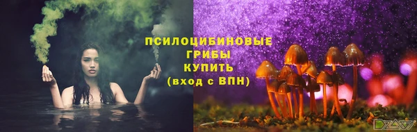 a pvp Алзамай