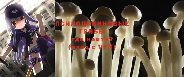 PSILOCYBIN Остров