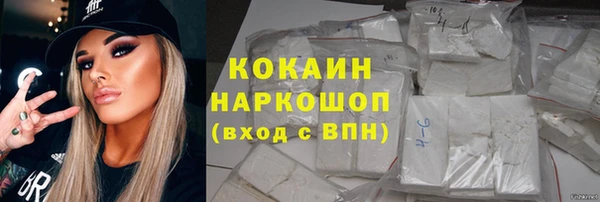 индика Пересвет