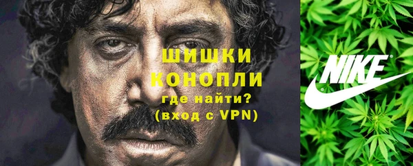 индика Пересвет