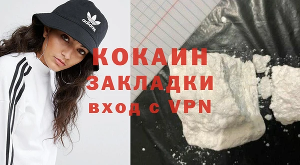 индика Пересвет