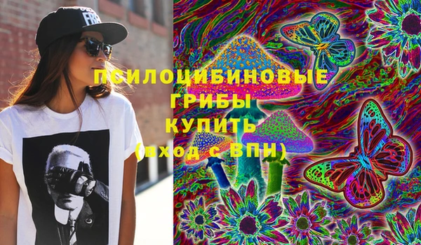 трава Осинники