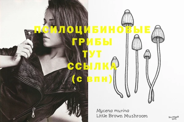 индика Пересвет