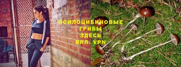 прущие крисы Пестово