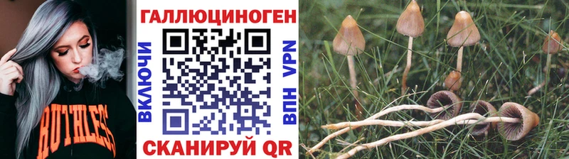 Псилоцибиновые грибы MAGIC MUSHROOMS Урюпинск