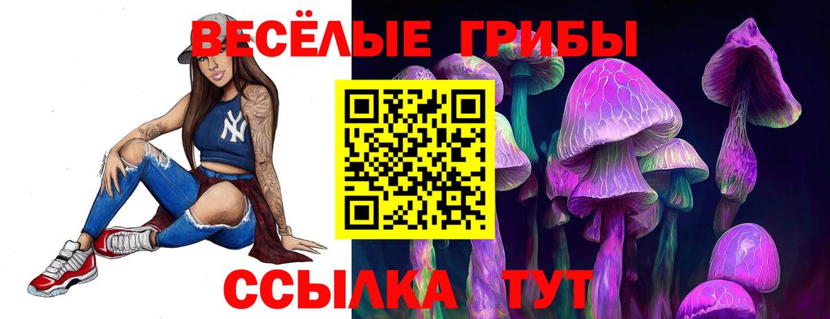 купить  сайты  Псилоцибиновые грибы Psilocybe  Урюпинск  Вход с VPN  Псилоцибиновые грибы мицелий 